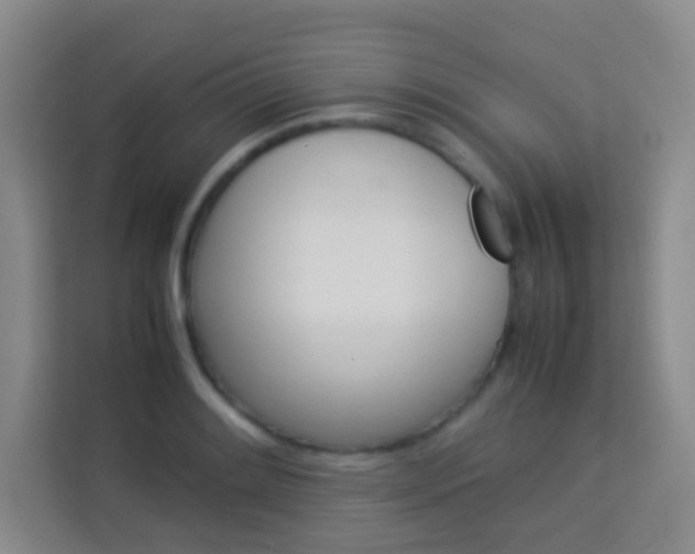 X0000114111084200910051234