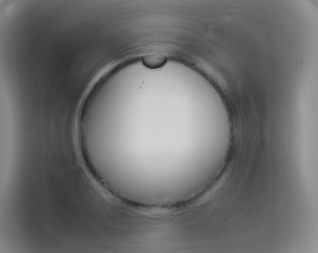 X0000114111085200910051234