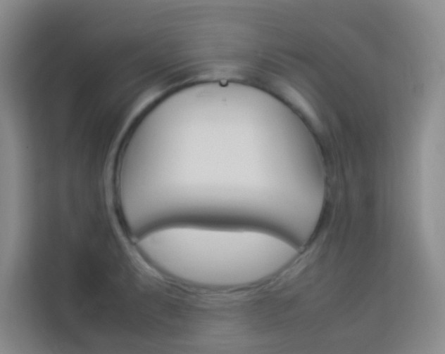 X0000114111087200910051234