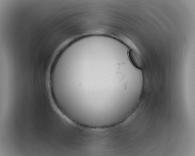 X0000114111088200910051234