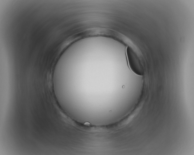 X0000114111089200910051234