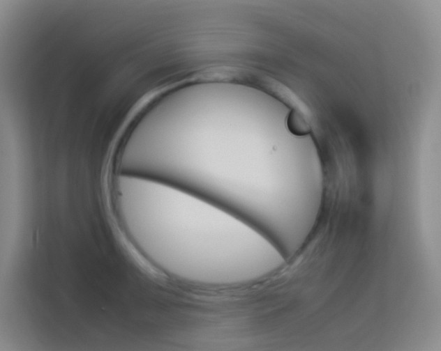 X0000114111091200910051234
