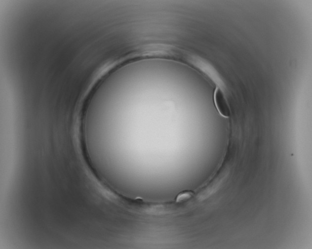 X0000114111093200910051234