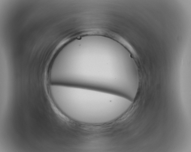 X0000114111095200910051234