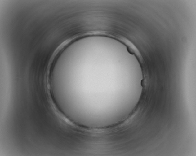 X0000114111096200910051234