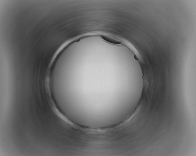 X0000114111100200910051233