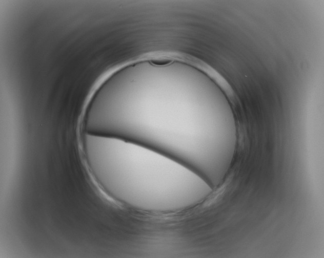 X0000114111102200910051233