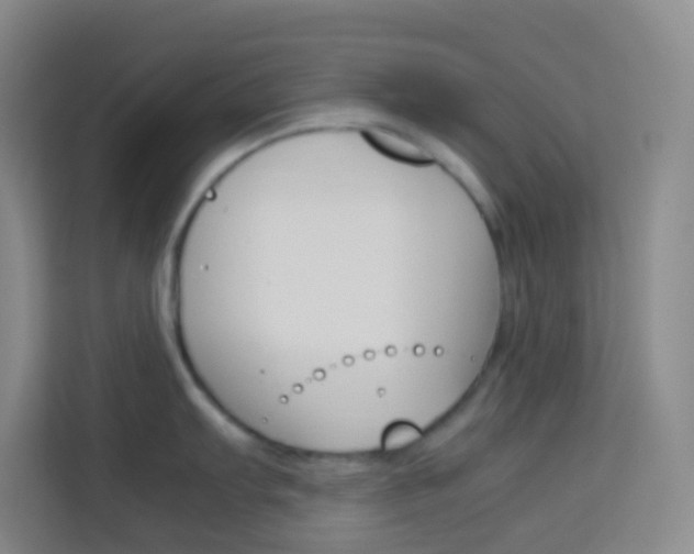X0000114111103200910051233