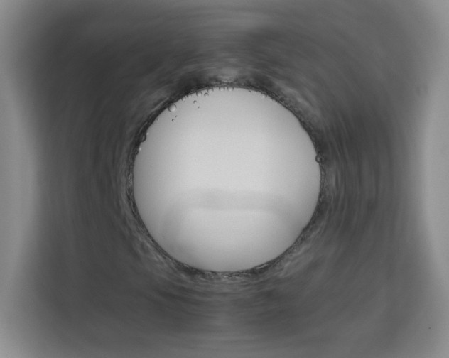 X0000114111105200910051233