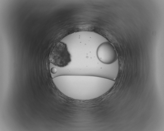 X0000114111106200910051233