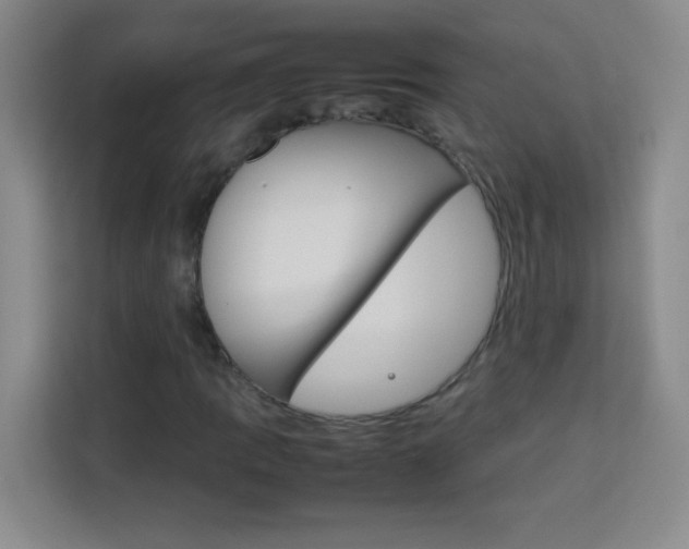 X0000114111109200910051233