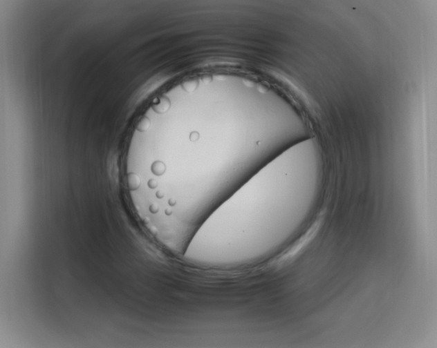 X0000114111113200910051233