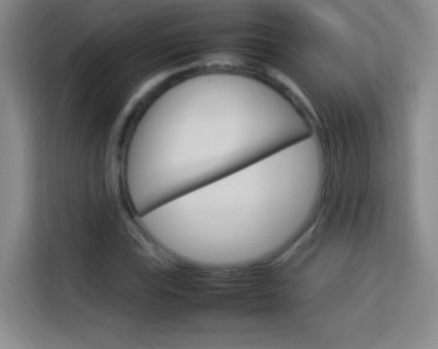 X0000114111115200910051233