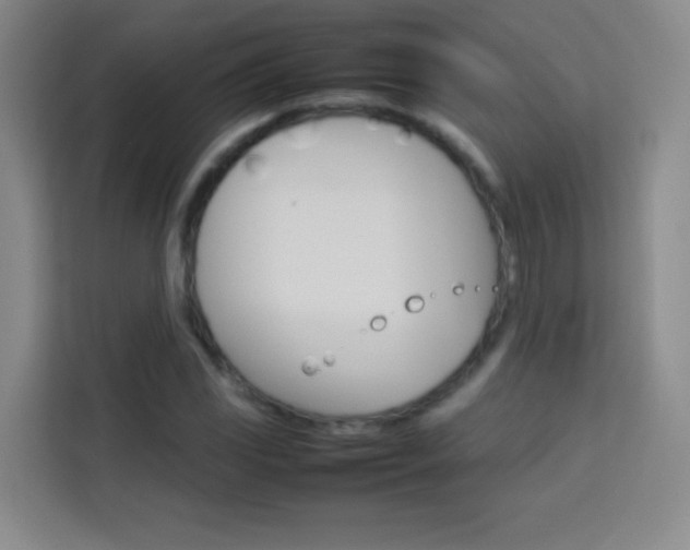 X0000114111117200910051233