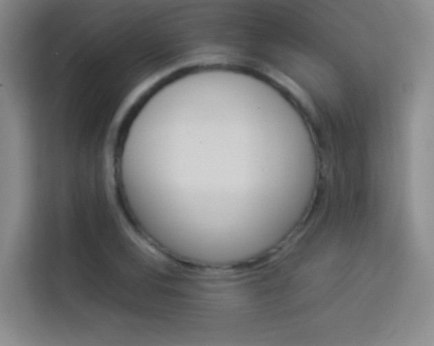 X0000114111120200910051233