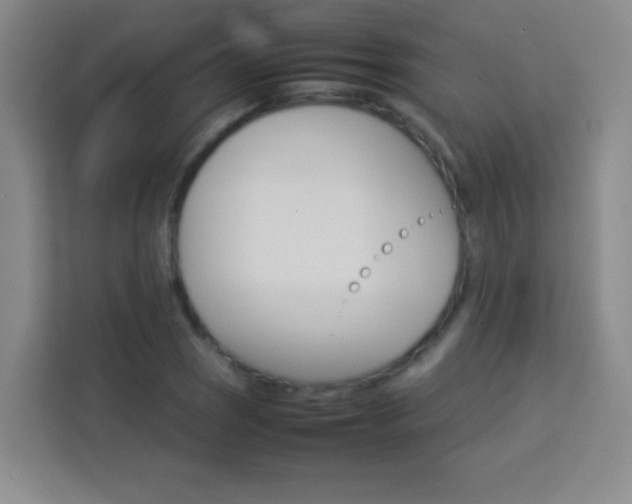 X0000114111121200910051233