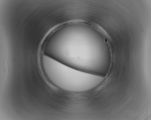 X0000114111124200910051233