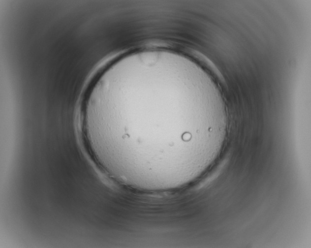 X0000114111125200910051233