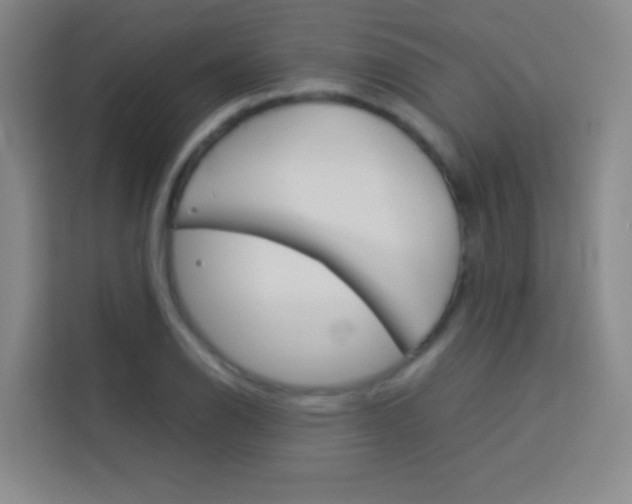 X0000114111126200910051233