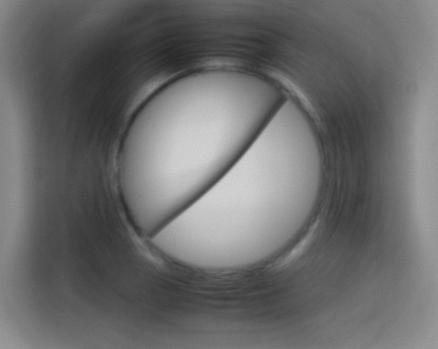 X0000114111129200910051233