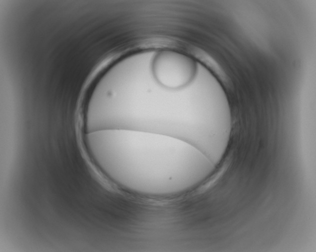 X0000114111130200910051233