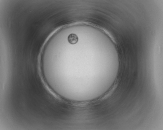 X0000114111134200910051233
