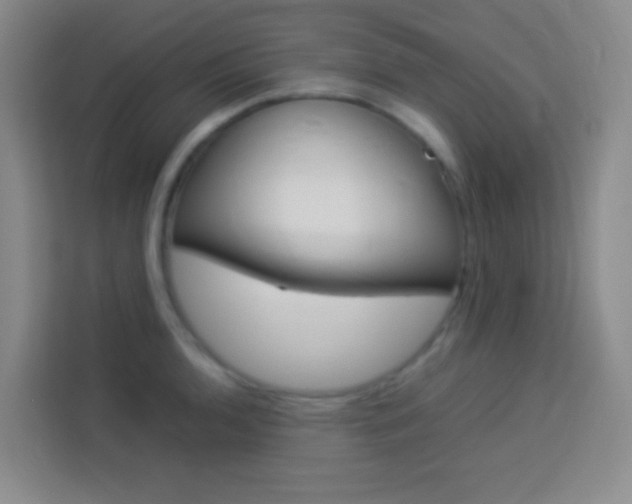 X0000114111136200910051233