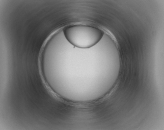 X0000114111138200910051233