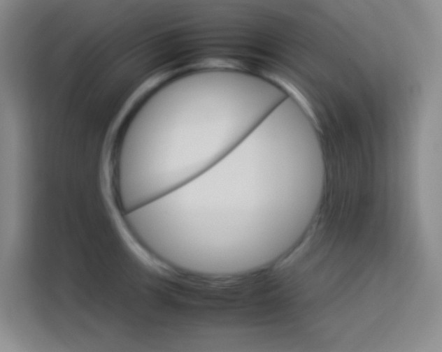 X0000114111139200910051233