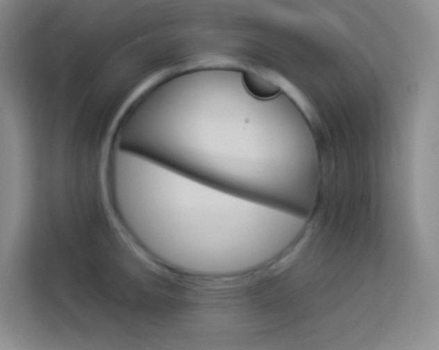 X0000114111142200910051233