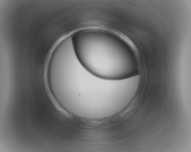 X0000114111144200910051233