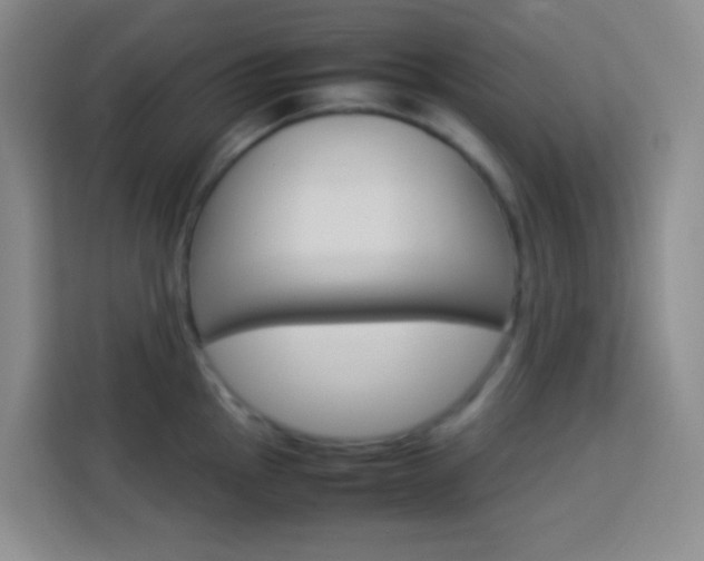X0000114111145200910051233