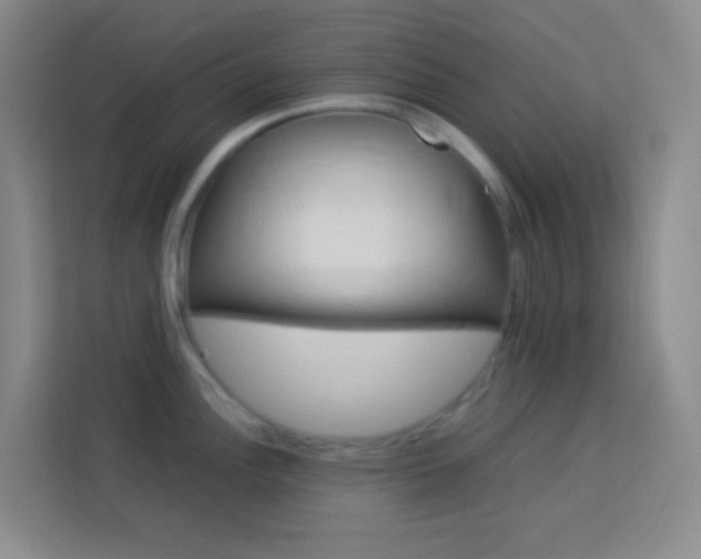 X0000114111148200910051233
