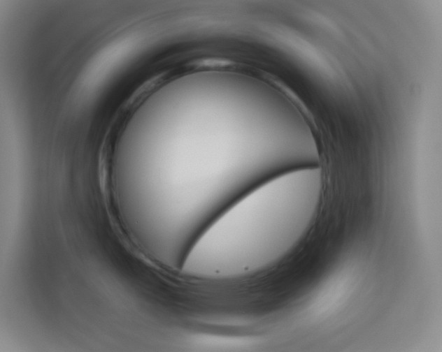 X0000114111151200910051233