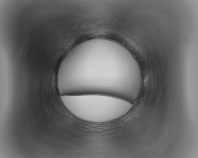 X0000114111156200910051233