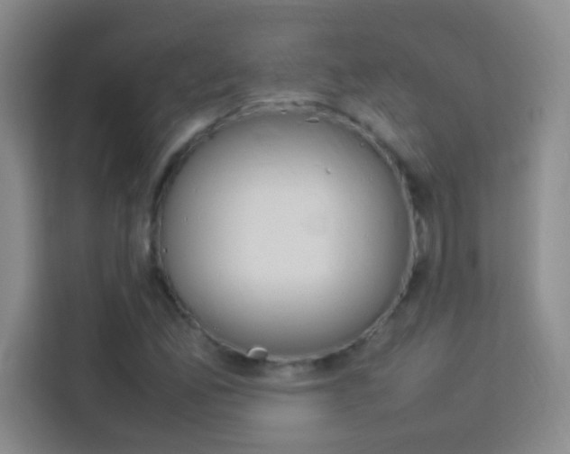 X0000114111165200910051233