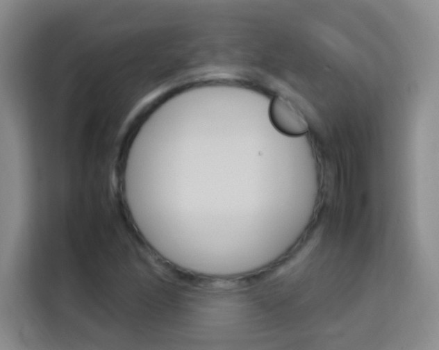 X0000114111166200910051233