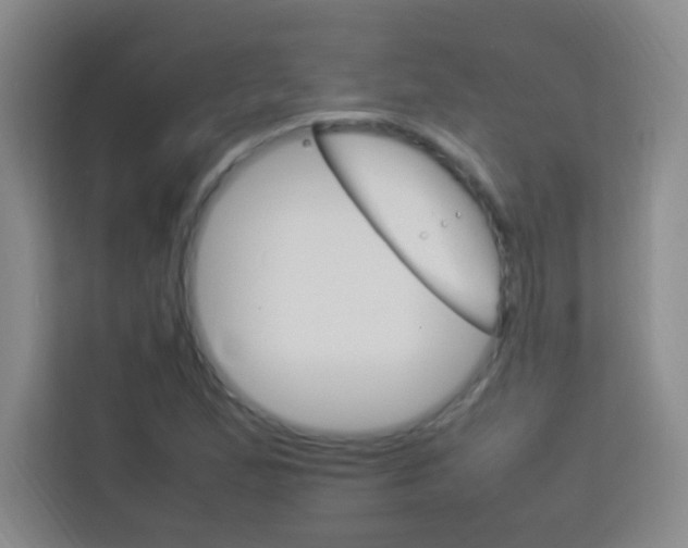 X0000114111167200910051233