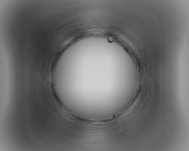X0000114111169200910051233