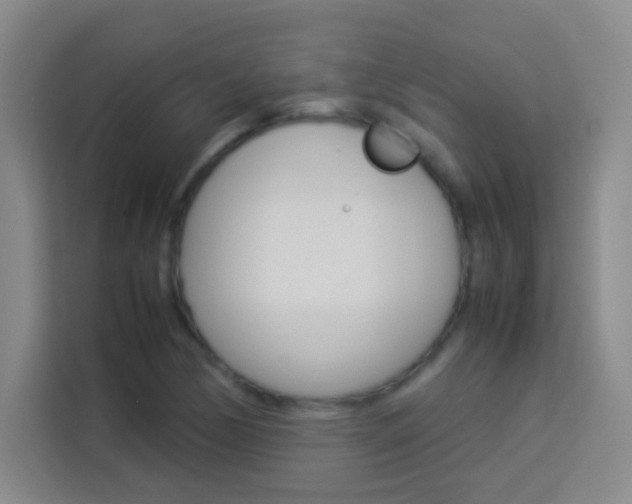 X0000114111170200910051233