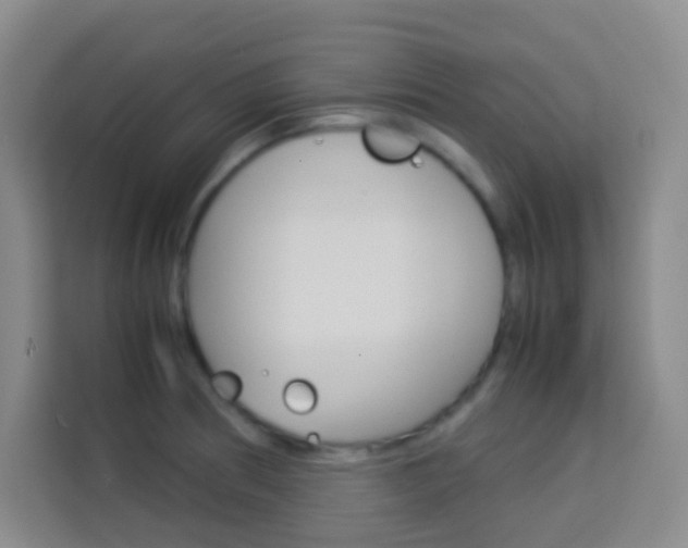 X0000114111186200910051232
