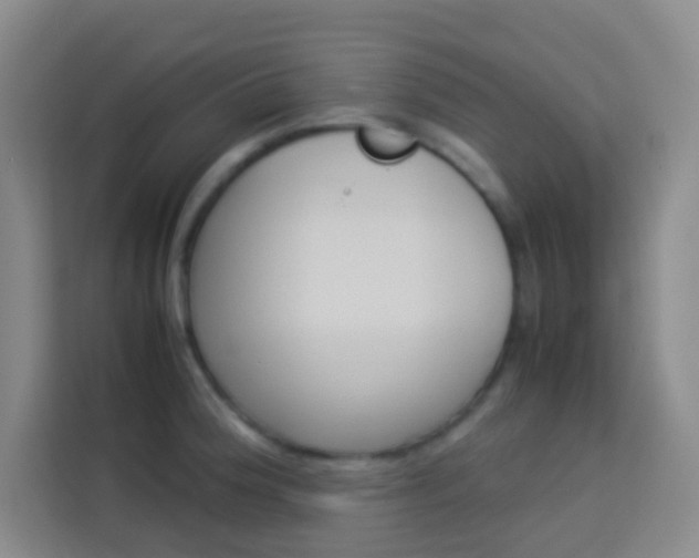 X0000114111188200910051232