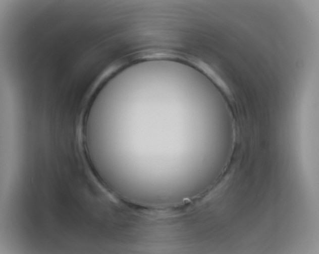 X0000114111189200910051232