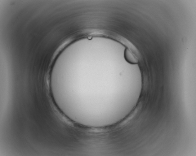 X0000114111190200910051232