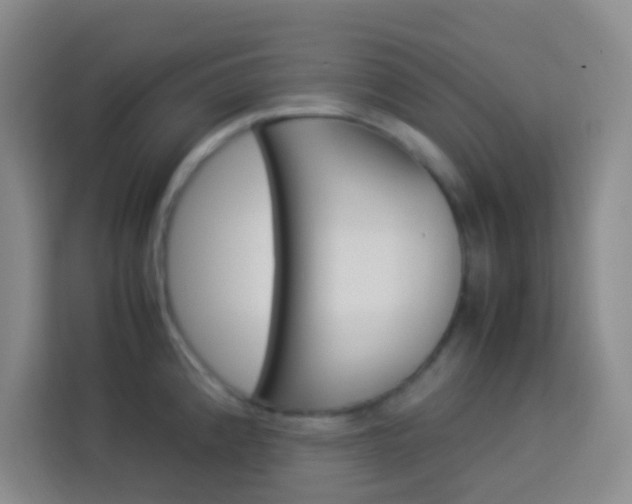 X0000114111192200910051232