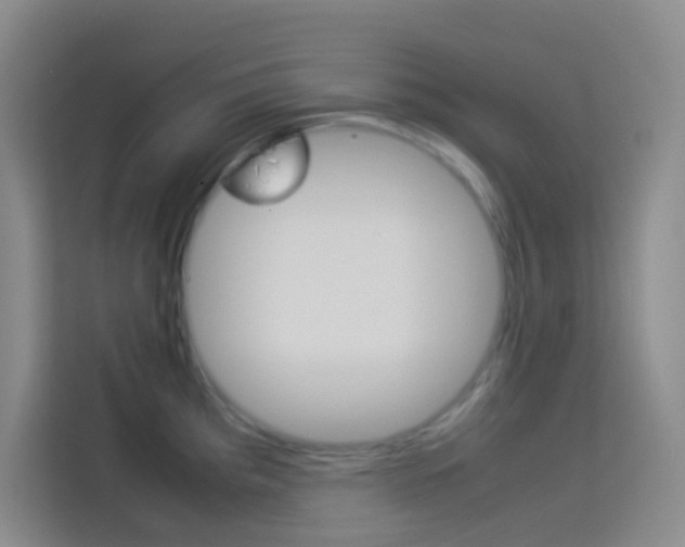 X0000114111193200910051232