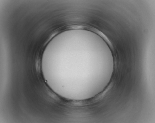 X0000114111194200910051232