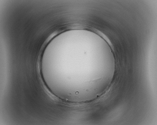 X0000114111195200910051232