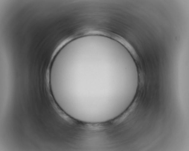 X0000114111198200910051232