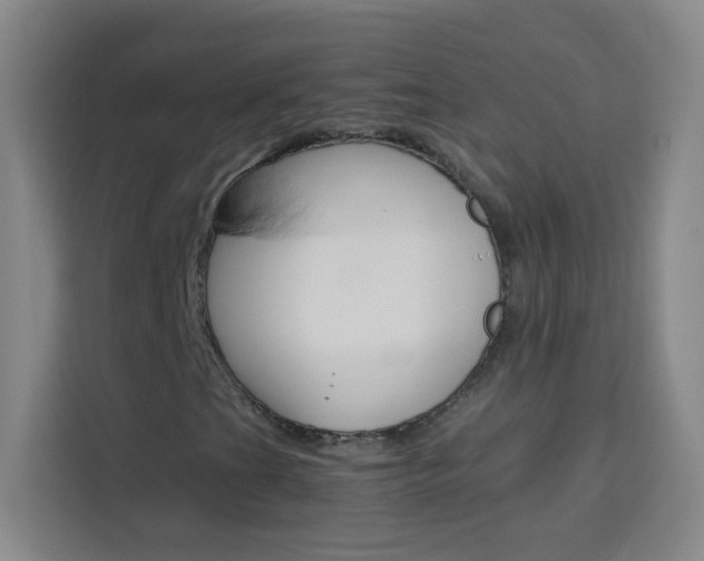 X0000114111201200910051232